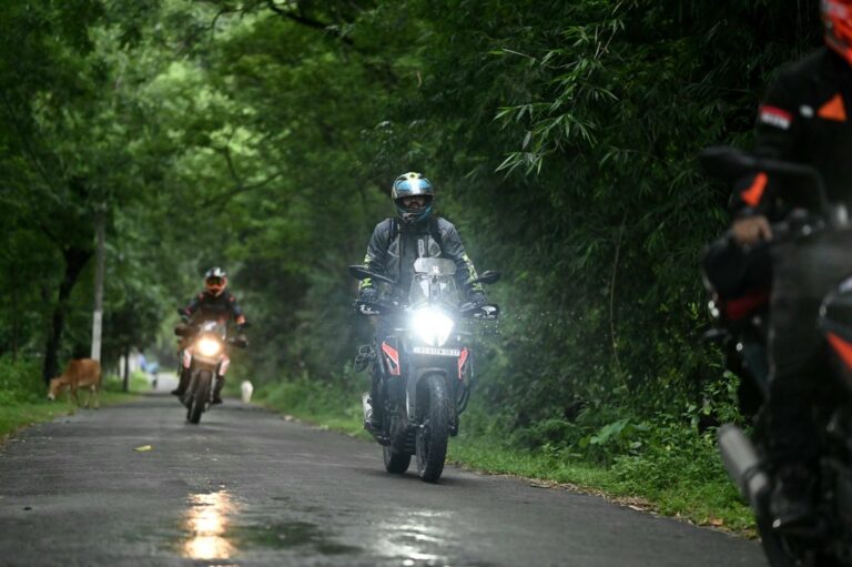 Dois motociclistas percorrendo estrada arborizada