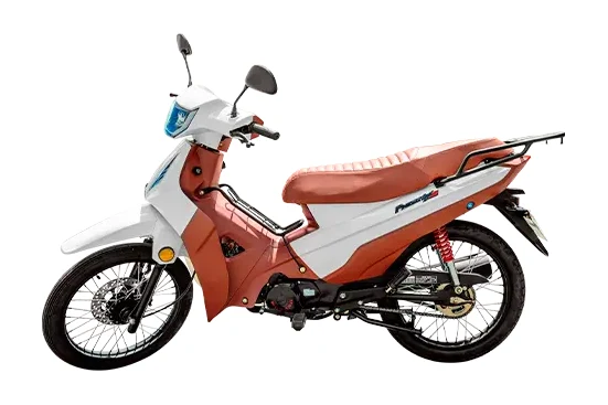 Shineray Phoenix 50 branca e marrom, ciclomotor visto de lado